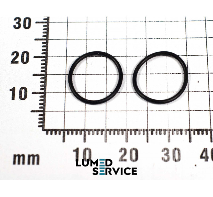 Ущільнювальне кільце NSK D12.1 для пневмомотора набір 2 шт.