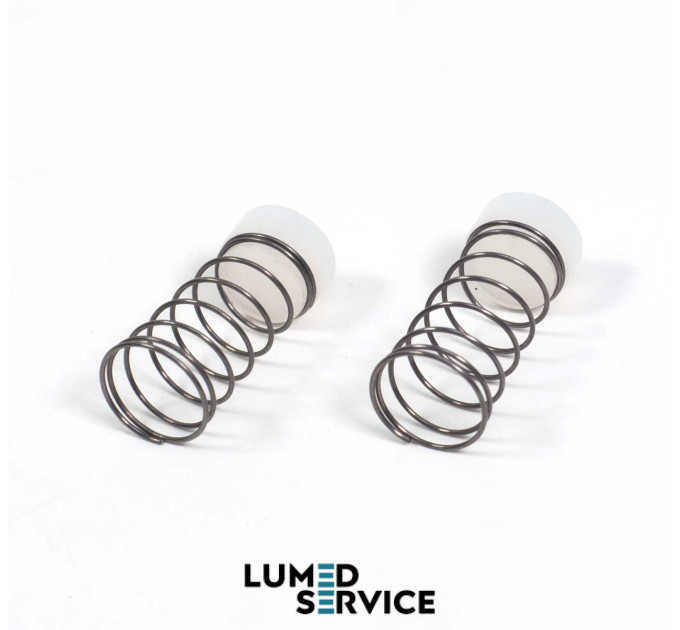 Набір 2 Гумки 2 пружинки зворотного клапана D13,5 мм для безмасляного компресора