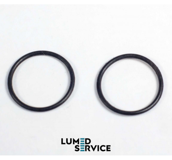 Ущільнювальне кільце NSK D12.1 для пневмомотора набір 2 шт.